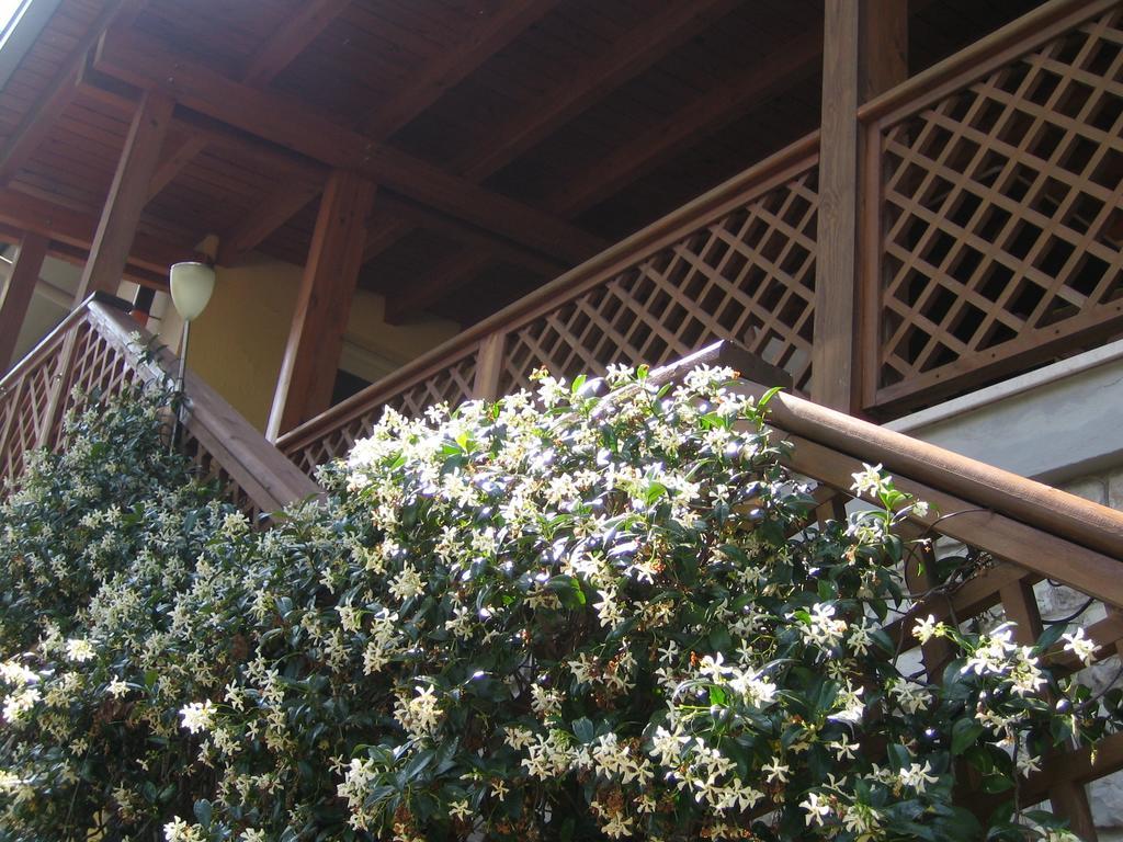 La Casa Di Ulisse Bed & Breakfast *