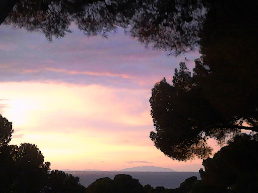 Bed & Breakfast La Casa Di Ulisse