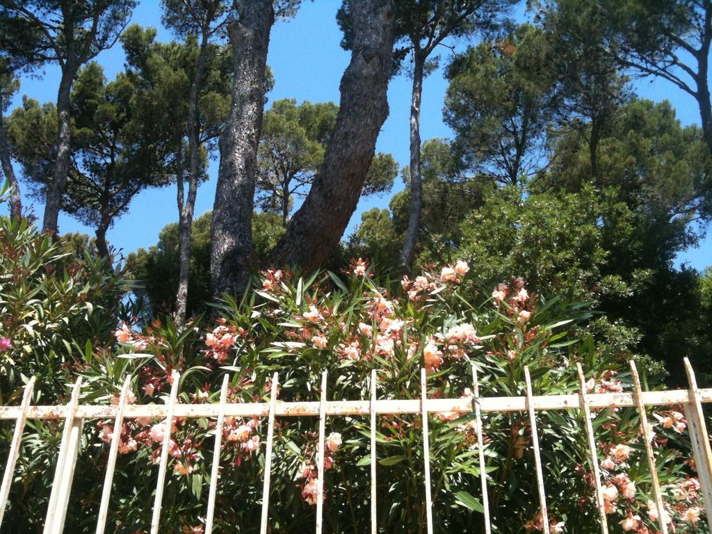 La Casa Di Ulisse *