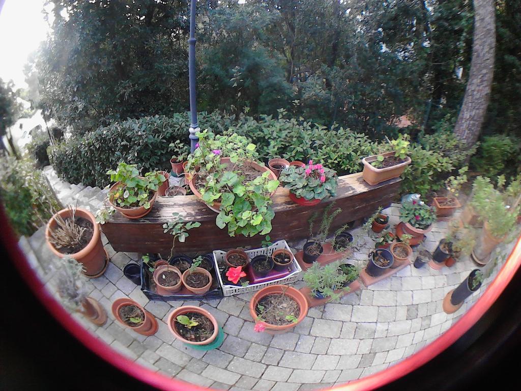 Bed & Breakfast La Casa Di Ulisse *