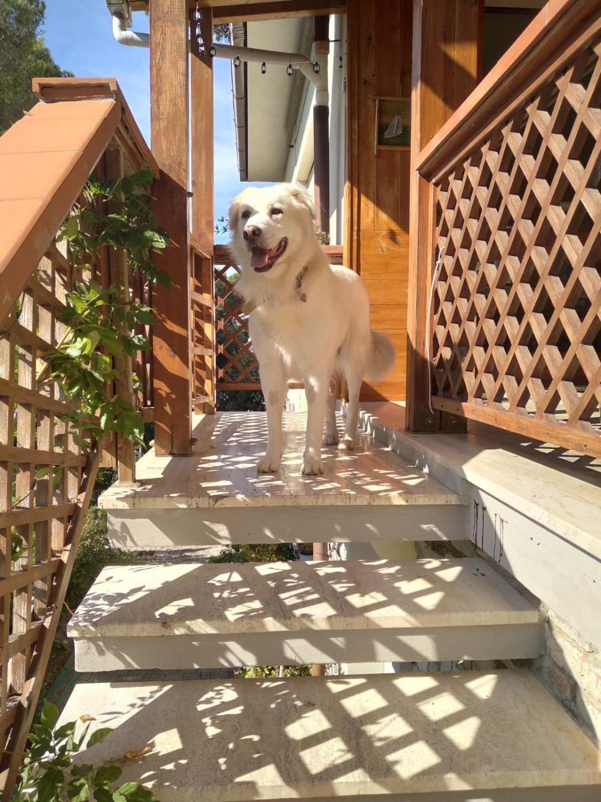 Bed & Breakfast La Casa Di Ulisse