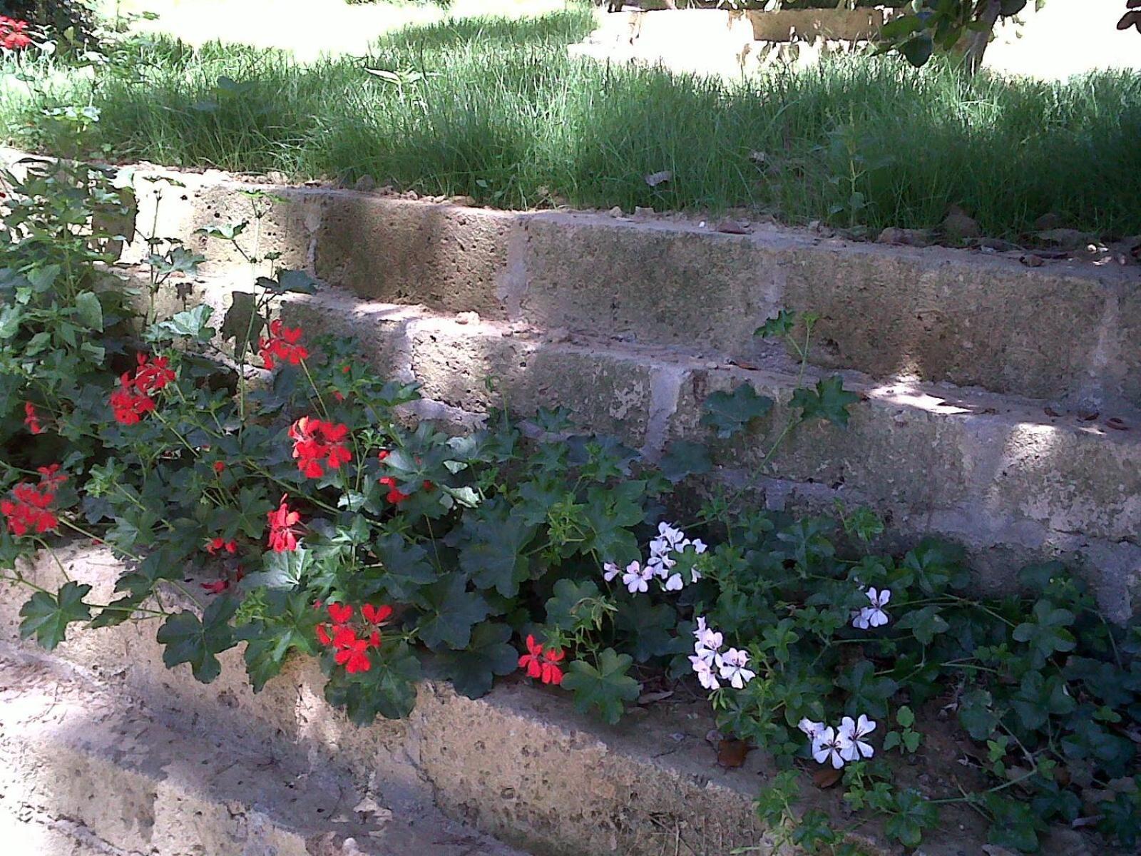 La Casa Di Ulisse Quercianella