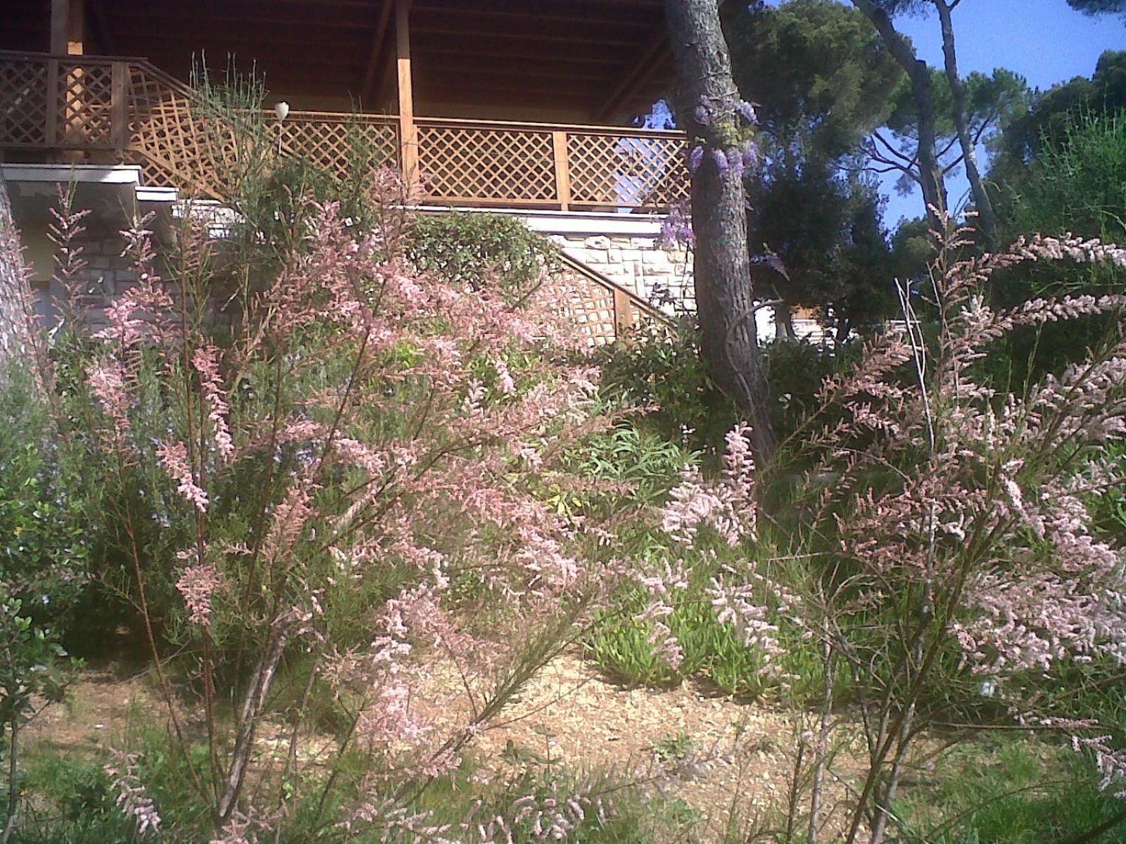 La Casa Di Ulisse Bed & Breakfast *